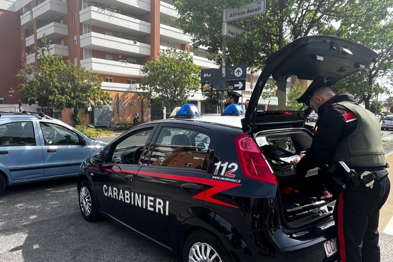 Un cane in fuga salvato dai Carabinieri nella notte