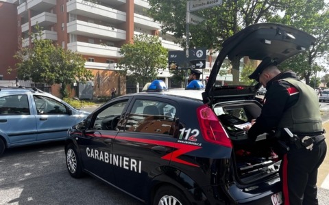 Un cane in fuga salvato dai Carabinieri nella notte