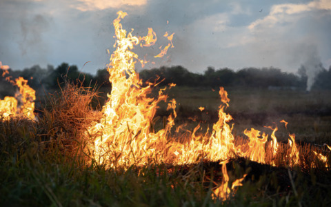 Incendio sul Monte Barone, il fronte avanza nella pineta