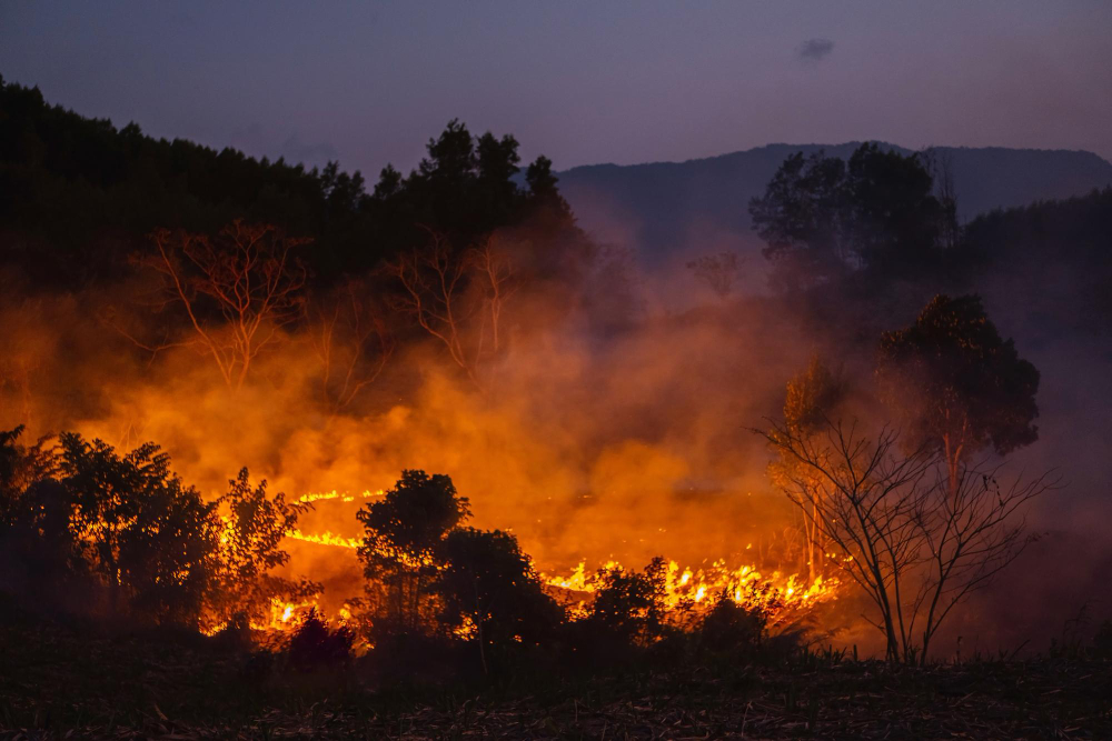 Tre alloggi inagibili dopo l’incendio nel palazzo