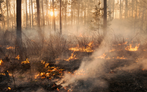 Aggiornamenti su incendio in alta Valsessera visibile dal Castello di Valdengo
