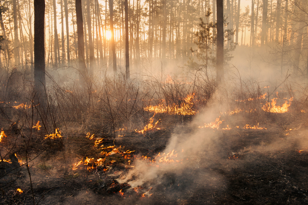 Aggiornamenti su incendio in alta Valsessera visibile dal Castello di Valdengo