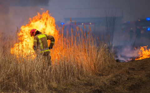 Squadra AIB di Tavigliano in missione anti-incendi in Calabria