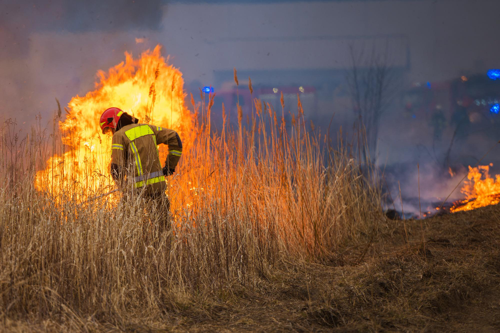 Squadra AIB di Tavigliano in missione anti-incendi in Calabria