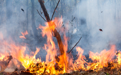 Volontari impegnati per giorni contro le fiamme sui versanti