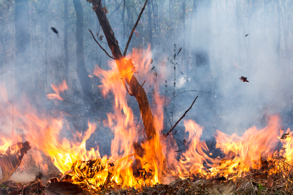 Volontari impegnati per giorni contro le fiamme sui versanti