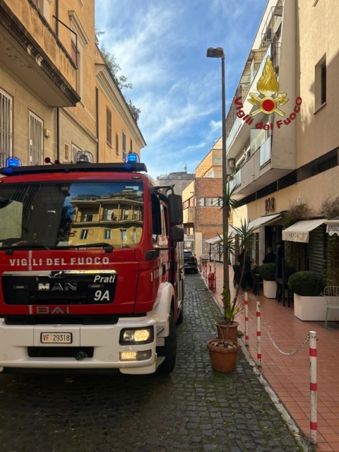 Albero cade sulla carreggiata, intervento dei pompieri nella notte